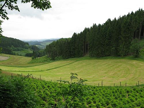 100811_safari_01