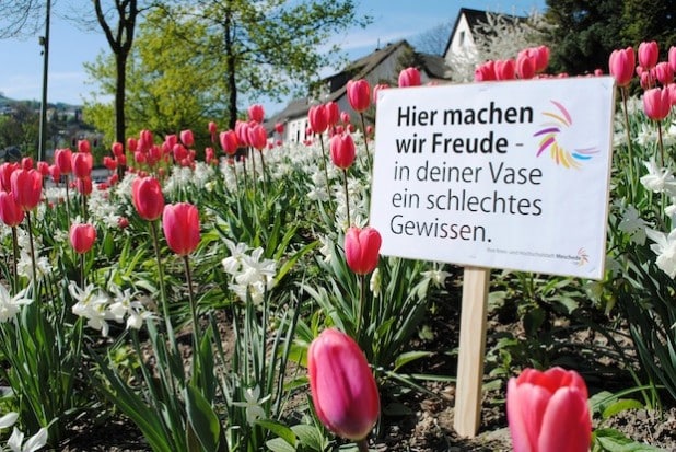 Mit Schildern appelliert die Stadt Meschede dazu, die Blumen dort zu belassen, wo sie hingehören - ins Pflanzbeet (Foto: Stadt Meschede).