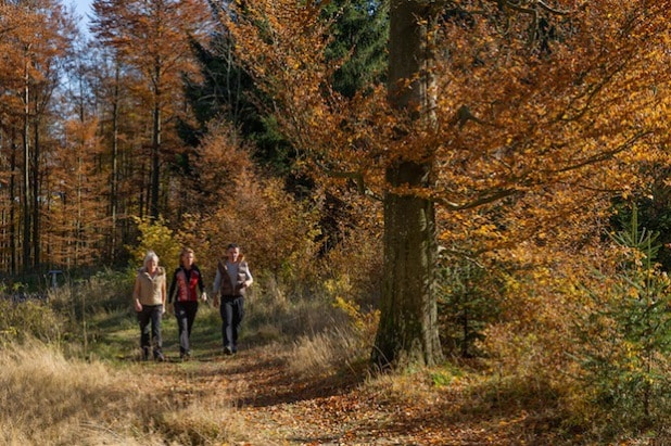 Wandern im Sauerland (Foto: Kur- & Freizeit GmbH, Schmallenberger Sauerland)