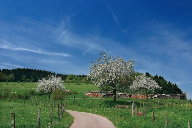 Foto: Tourist-Information Willingen