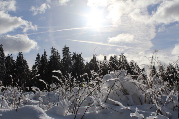Foto: ARKM-Archiv