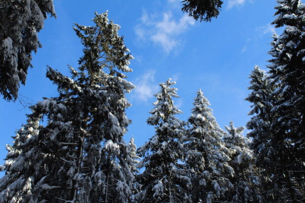 Foto: ARKM-Archiv