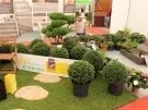 thumbs_17-bauen-wohnen-messe-luedenscheid_027