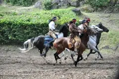 elspe-0671