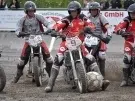 thumbs_dsc_0287