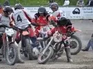 thumbs_dsc_0462