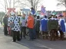 thumbs_altweiber-karneval-drolshagen-2015_002