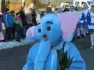 thumbs_altweiber-karneval-drolshagen-2015_046