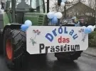 thumbs_altweiberumzug-drolshagen-2016_068