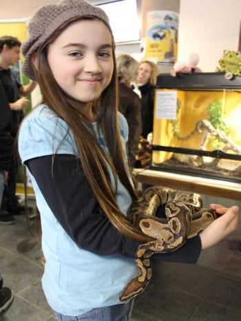 Hund und Heimtiermesse Siegen 2013 (13)