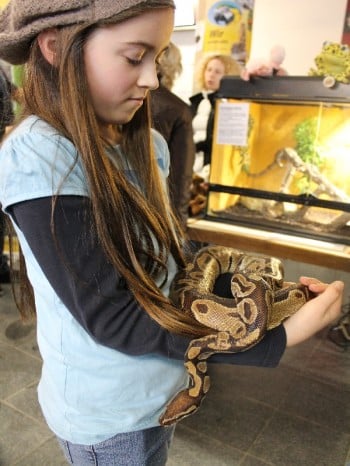 Hund und Heimtiermesse Siegen 2013 (14)