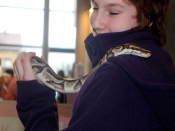 Hund und Heimtiermesse Siegen 2013 (18)