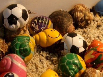 Hund und Heimtiermesse Siegen 2013 (20)