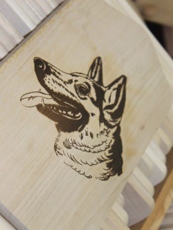 Hund und Heimtiermesse Siegen 2013 (25)