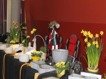 Hund und Heimtiermesse Siegen 2013 (27)