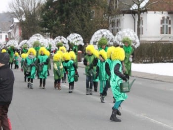 Veilchendienstagszug Grevenbrück (12)