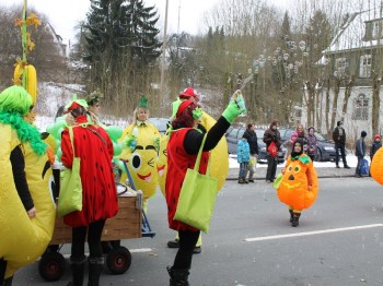 Veilchendienstagszug Grevenbrück (59)