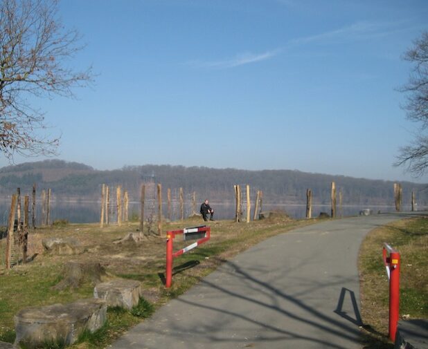 Die neuen Stämmlinge am Randweg des Möhnesees sollen ungestört wachsen können (Foto: Ruhrverband).