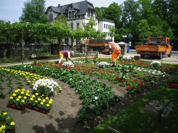 Sommerlich bunt präsentiert sich der Lippebug, der von Gärtnern des Baubetriebshofes bepflanzt wurde (Foto: Stadt Lippstadt).