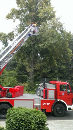 Einsatz der Arnsberger Drehleiter in Mülheim (Foto: Feuerwehr der Stadt Arnsberg).