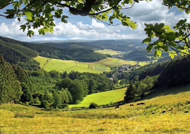 Die Oberndorfer Höhe - Foto: Klimke, Oliver