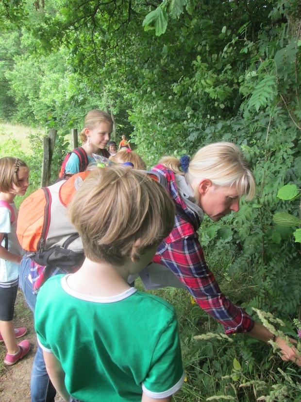 Foto: Touristik-Gesellschaft Medebach mbH