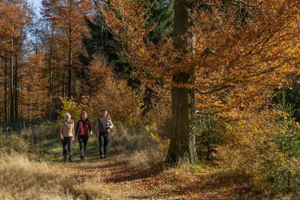 Wandern im Sauerland (Foto: Kur- & Freizeit GmbH, Schmallenberger Sauerland)