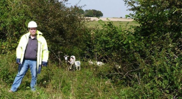 WESTKALK-Experte Peter Dolch mit den Ziegen im Roberts Bruch, Kallenhardt (Foto: WESTKALK).