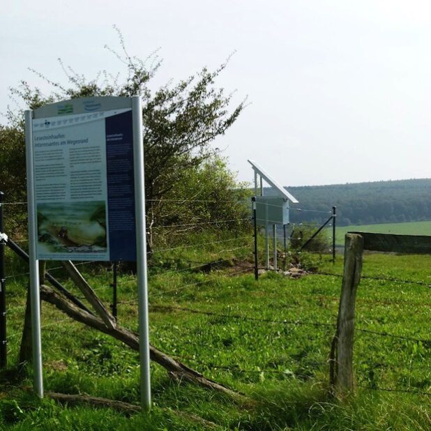 Der Roberts Bruch, Kallenhardt (Foto: WESTKALK)