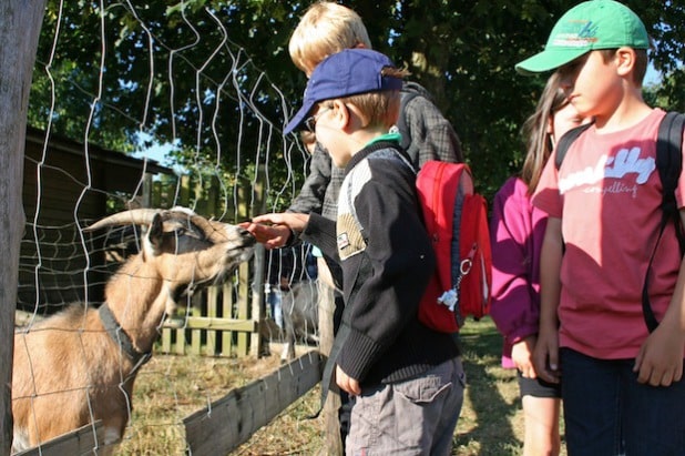 Die Sommerferienbetreuung im vergangenen Jahr lud u.a. zu einem Besuch auf dem Wilgersdorfer Birkenhof ein (Foto: Gemeinde Wilnsdorf).