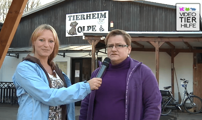 Sabrina Gehrmann zeigt die schönsten Tiere aus den heimischen Tierheimen, die ein neues zu Hause suchen. Foto: SüWeNa