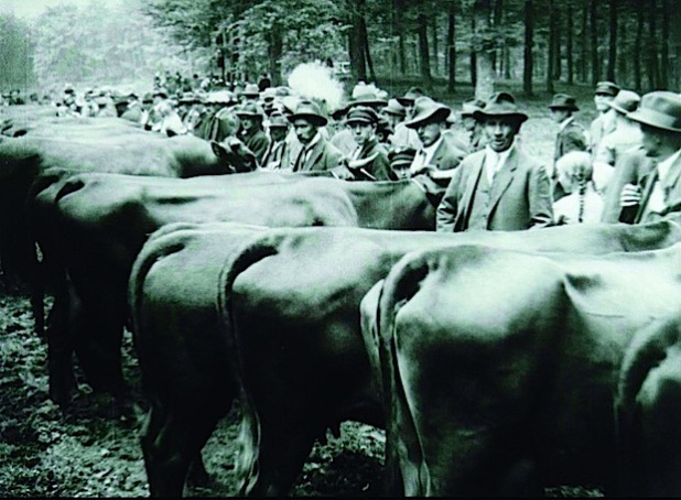 Eine Szene des Stünzelfestes 1927 oder 1928 aus Schongers Streifzug durch das Wittgensteiner Land (Foto: LWL).