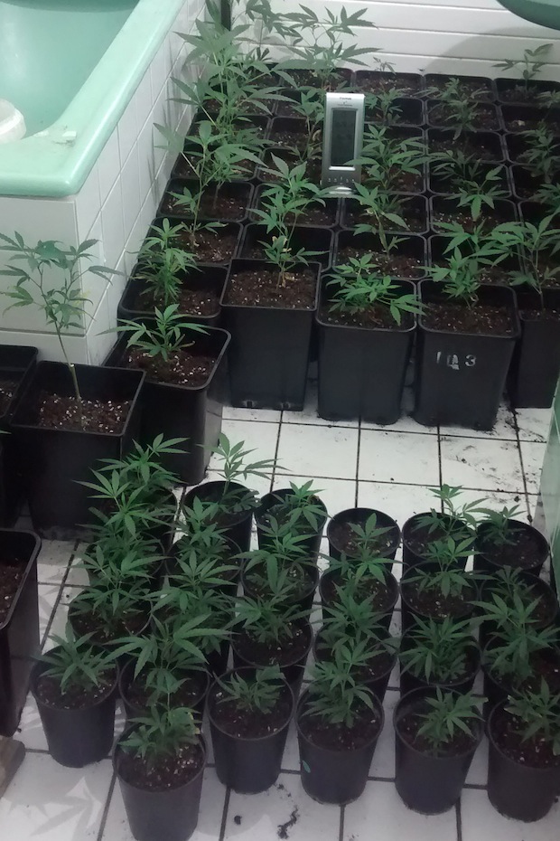 Foto: Kreispolizeibehörde Märkischer Kreis