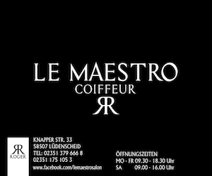 Le Maestro Coiffeur