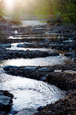 Eine Steinrampe ermöglicht es nun Fischen im Bereich Mülheimer Schlacht auch in den oberen Teil der Möhne zu gelangen. Ein Absturz von fast zwei Metern machte eine Wanderung zuvor unmöglich - Foto: Franz Reichenberger/FocusFoto.