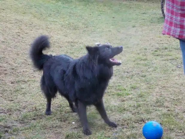 Bild: Rocky