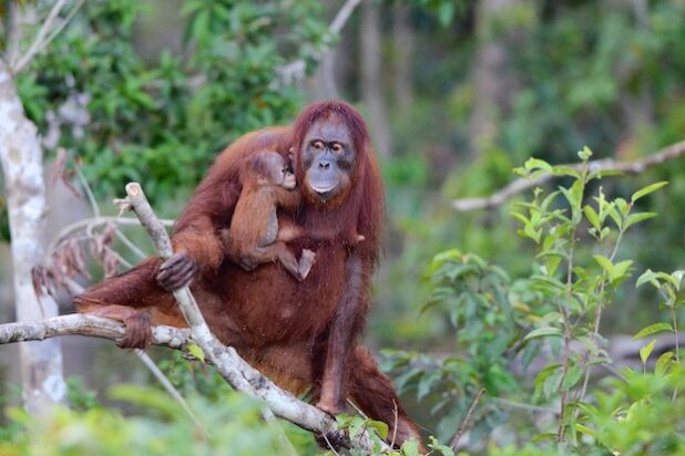 Foto: Dirk Manderbach