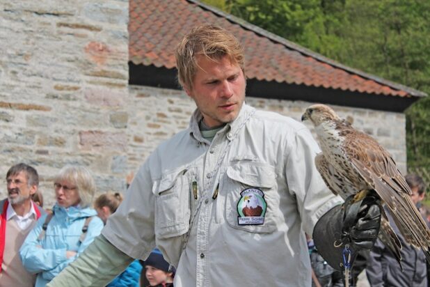 Falkner Pierre Schmidt kommt mit seinen Vögeln zur Luisenhütte (Foto: Michelle Wolzenburg/Märkischer Kreis).