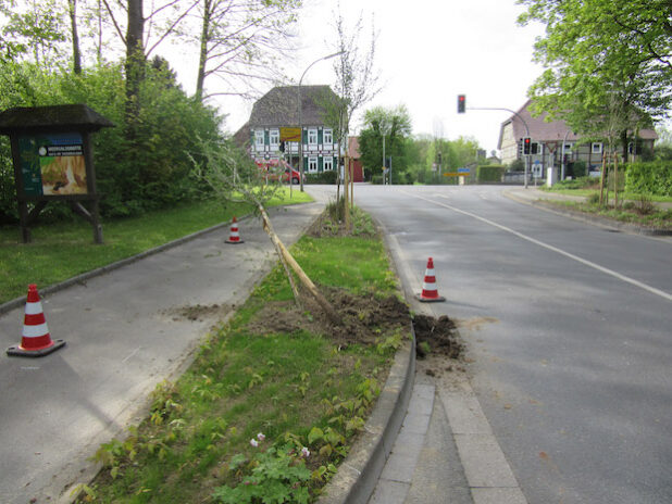 Umgeknickter Baum an der Alleestraße (Foto: Kreispolizeibehörde Soest)