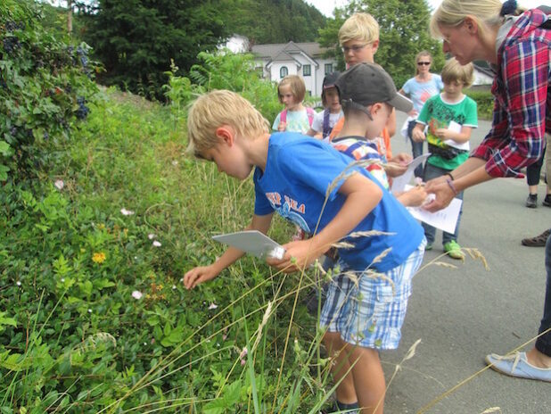 Foto: Touristik-Gesellschaft Medebach mbH