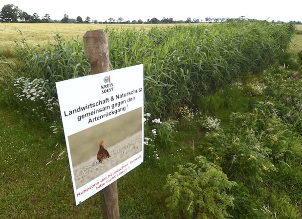 In Erwitte-Schallern haben die heimische Landwirtschaft und das Sachgebiet Natur- und Landschaftsschutz der Kreisverwaltung Soest das erste Hinweisschild zum Artenschutz in der Feldflur aufgestellt (Foto: Thomas Weinstock/Kreis Soest).