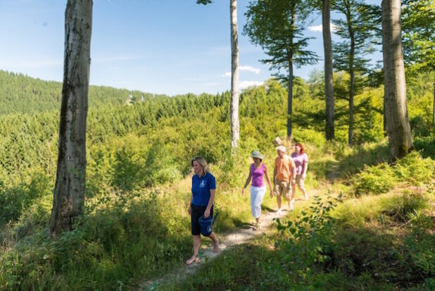 Zum schönsten Wanderweg in NRW gekürt: Der Olsberger Kneippweg (Foto: Olsberg-Touristik)