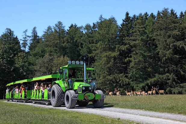 Pano's Express - Copyright 2015 Panorama Park Sauerland Wildpark