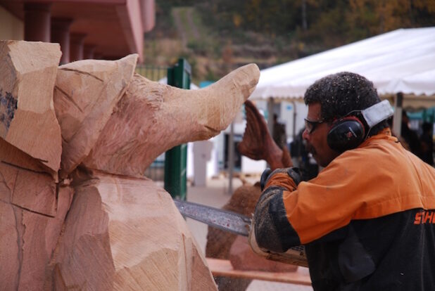 Shapoor Engineer beim Nasenbären-Speed-Carving (Foto: Spreeforum International GmbH/Galileo-Park)