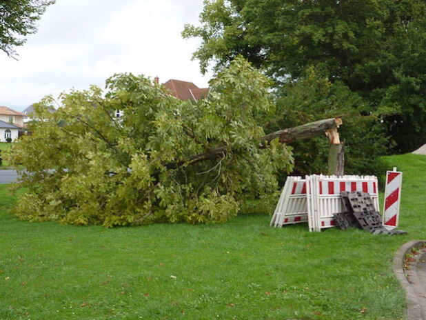 Foto: Stadt Geseke