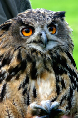 Foto: Gemeinde Bestwig