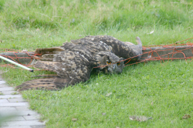 Foto: Gemeinde Bestwig