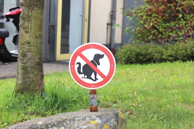 Die Hansestadt Attendorn appelliert an Hundehalter, den Kot ihrer Tiere zu beseitigen und die extra errichteten Hundestationen im Attendorner Stadtgebiet zu nutzen (Foto: Hansestadt Attendorn).