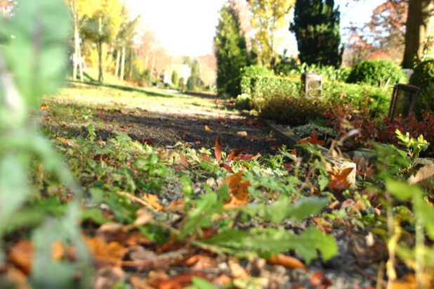 Quelle: Hochsauerlandwasser GmbH