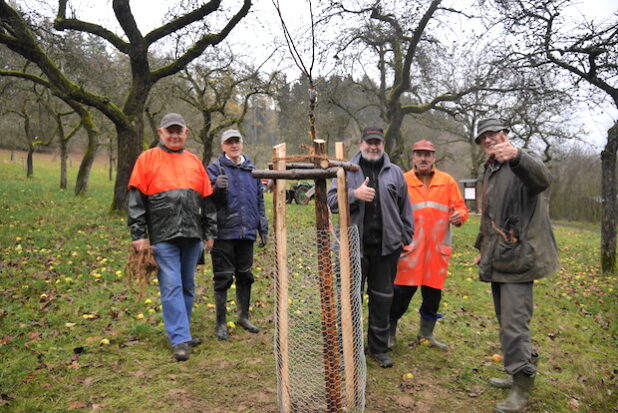 Dauerregen hat sie nicht von ihrer Mission abgeschreckt: Horst Arnold Bäcker, Dieter Diehl, Klaus Gelber, Arthur Hebel und Theo Morgenschweis (auf dem Foto fehlt Norman Hartley) pflanzten an einem Nachmittag elf neue Bäume auf der Streuobstwiese (Foto: Gemeinde Neunkirchen).